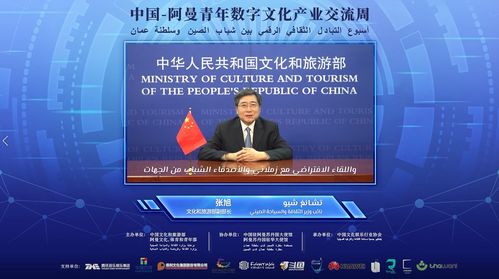 數(shù)字絲路，青春共創(chuàng) 中阿青年數(shù)字文化產(chǎn)業(yè)交流周盛大啟幕